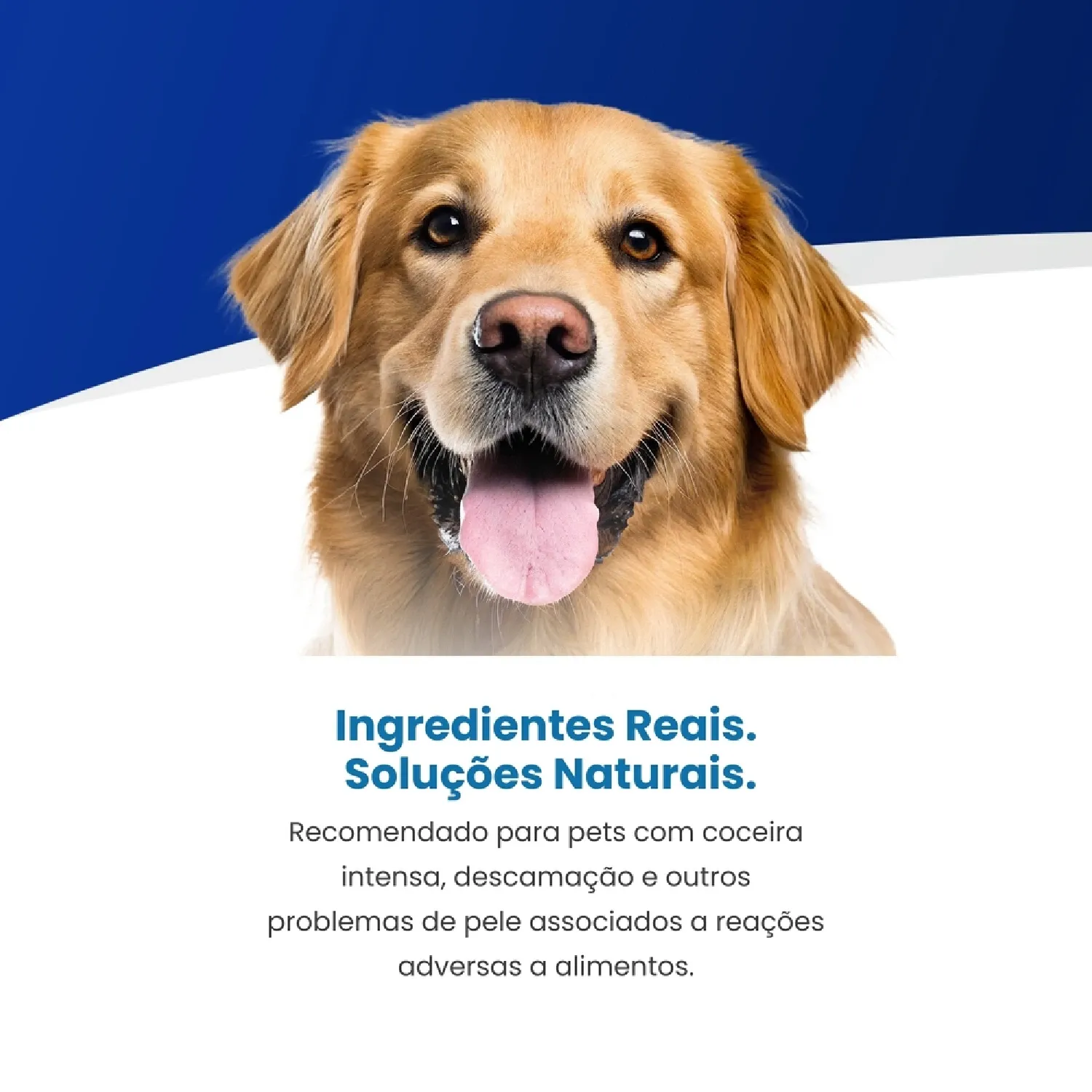 Racao Umida Vet Life Ultrahypo para Caes Adultos 4